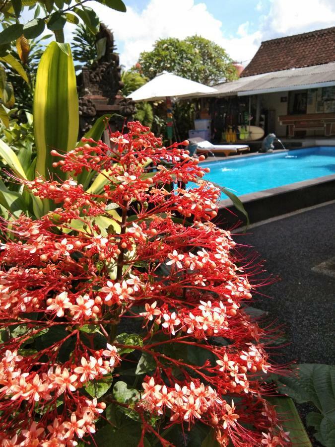 Sunwukong Guest House Ubud Zewnętrze zdjęcie